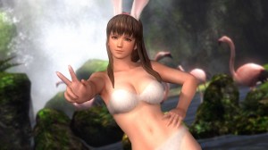 DLC2_a2_Hitomi_Bunny_White